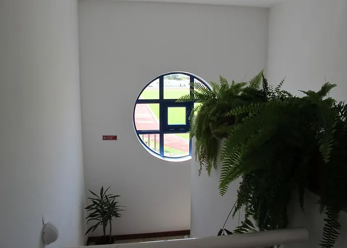 Azores Youth - Sao Miguel *