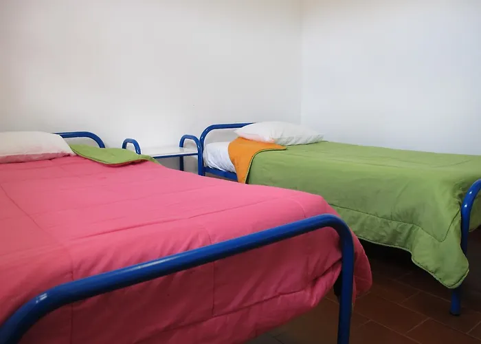 Azores Youth - Sao Miguel *