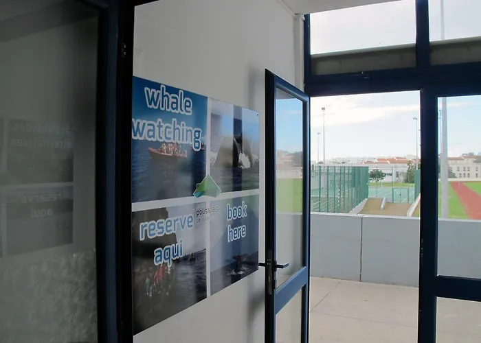 Azores Youth - Sao Miguel Hostel